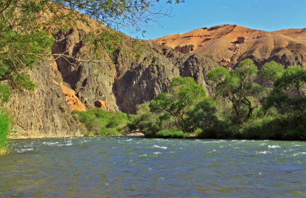 Знаменитая реликтовая роща ясеня согдийского в Чарынском каньоне