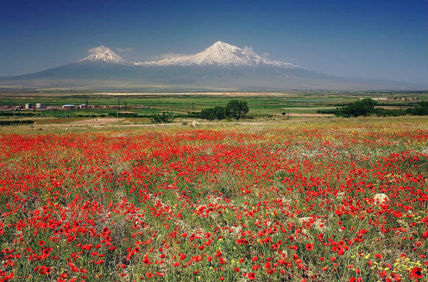 ararat_wr02